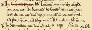 Gainsborough Domesday entry