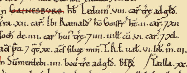 Gainsborough Domesday entry